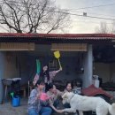 월오포레스트 이미지