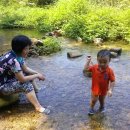 준서네 농장 이미지