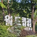 신양오리 이미지