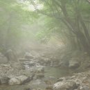 상봉동-033 티스토리