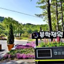 무극시장 이미지