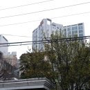 풍천탕 이미지