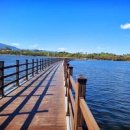 영랑호수공원 이미지