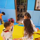 라온키즈 태권도장 이미지