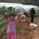 삼촌농장 이미지