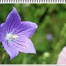 나의오후 이미지