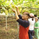 맥반골농원 이미지