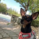 빕구르멍 이미지