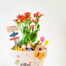 상곡병설유치원 이미지