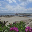 구룡포 - 평택시 세교상가1길 73 | 구룡포