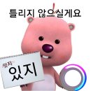 최근 2년만에 국내 온오프라인으로 공식 재입고 된 가방 이미지