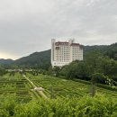 수란목장1 | [내돈내산] 평창 켄싱턴호텔 디럭스 더블 마운틴 뷰 1박 솔직 후기 남편과 둘이서 즐긴 호캉스