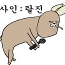 멍스테이펜션 이미지