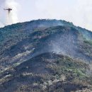 대구서변초등학교 이미지