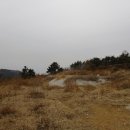 남해-229 이미지