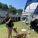 견학생스쿨 | 시흥 애견훈련 견학생스쿨 애견유치원 갔다온 후기!!