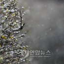 남촌도림동-17 이미지