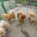 금강LPG충전소 이미지