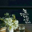 뭐라꼬 Daum카페