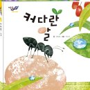 다섯콩