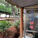 수보라횟집