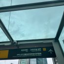 지방법원 | 부동산 초보 서울중앙지방법원 경매 현장 후기