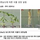 병해충에 시달리고 농사가 안되는 이유!! 염류장해 빠른 해결방법!