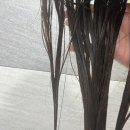 더 힐링스 | 모에타 더 뉴 힐링스 CMC팩 후기 헤어 트리트먼트 탈색 손상 모발 관리템 추천