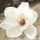 원곡1로 이미지