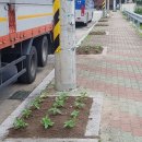 입실2리 이미지