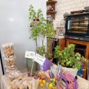 (주)갈매골순두부 이미지