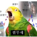 브레드영 이미지