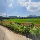 망와고택 이미지