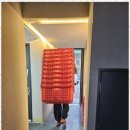 내집처럼이사
