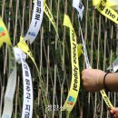 평화문구 이미지