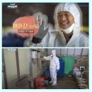 크로바양계식품 이미지