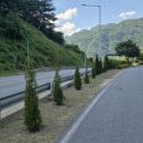 예밀촌길 이미지