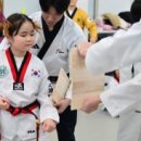 코리아탑태권도장 이미지