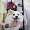 두류동물병원 이미지