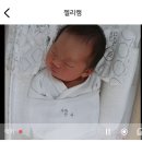 팰리스산후조리원 | 분당 더팰리스 산후조리원 이용후기(비용,산후마사지,유축기,교육)