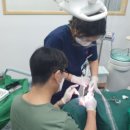 연세치과기공소 이미지