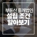 유한회사부동산중개법인엘 | 부동산중개법인 설립 조건 총정리 개인 중개사와 다른 점