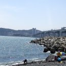 남항대교 이미지