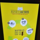 도안동 만화카페 놀숲 대전도안점