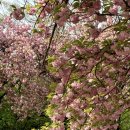 성산패총로-2 이미지