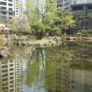 래미안황금공인중개사사무소 이미지