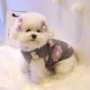 펫츠미 쇼핑하우
