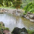 포레스트벨리캠프 이미지