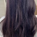 로이드밤 흑석역점