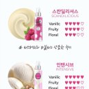 란스헤어 이미지